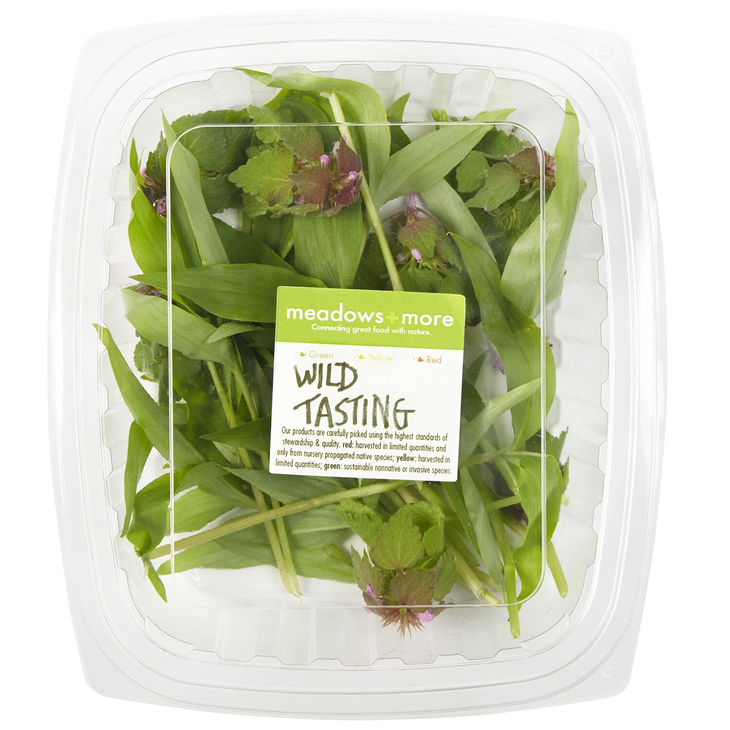 Meadows and More Wild Tasting of the Week