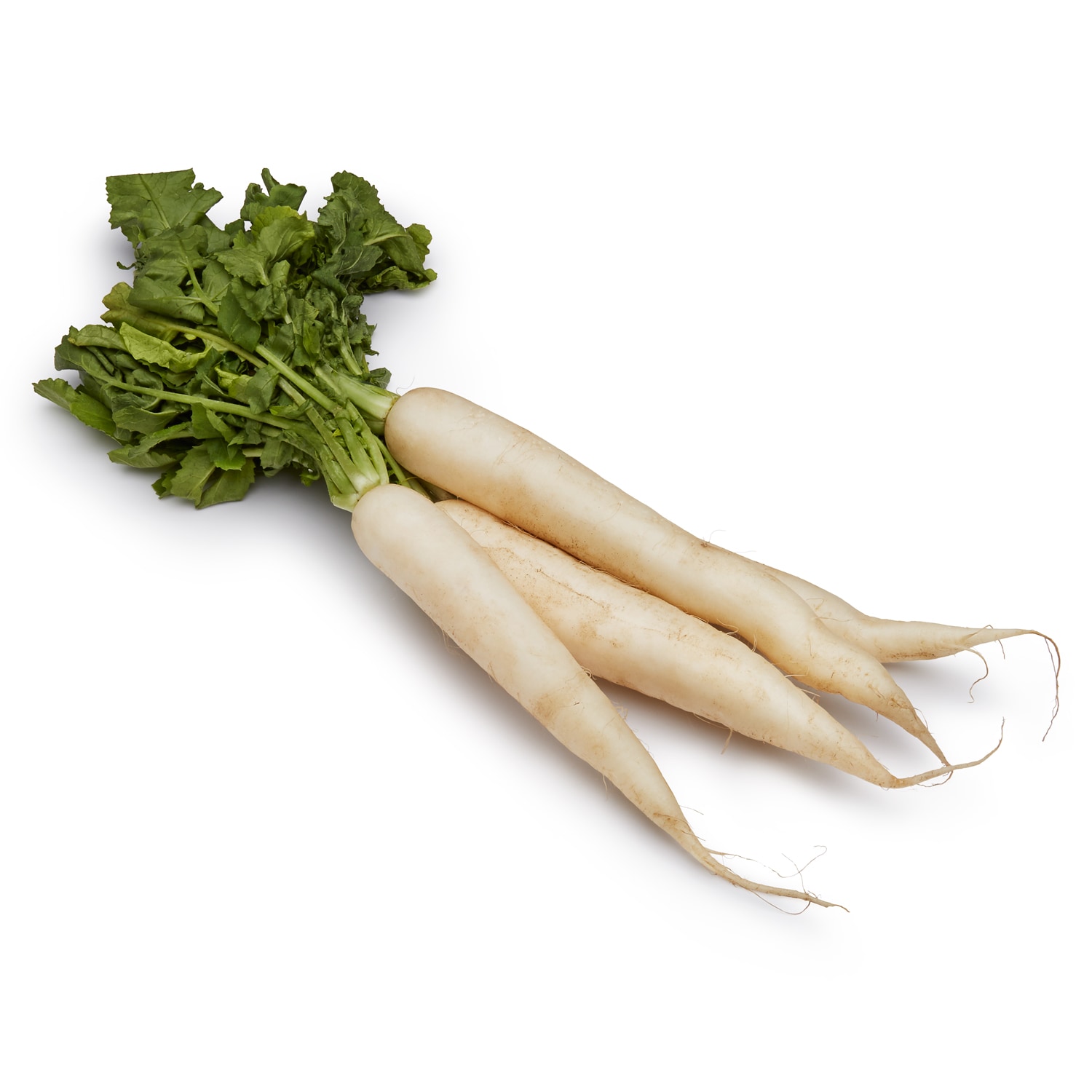 Organic Daikon, Bunch