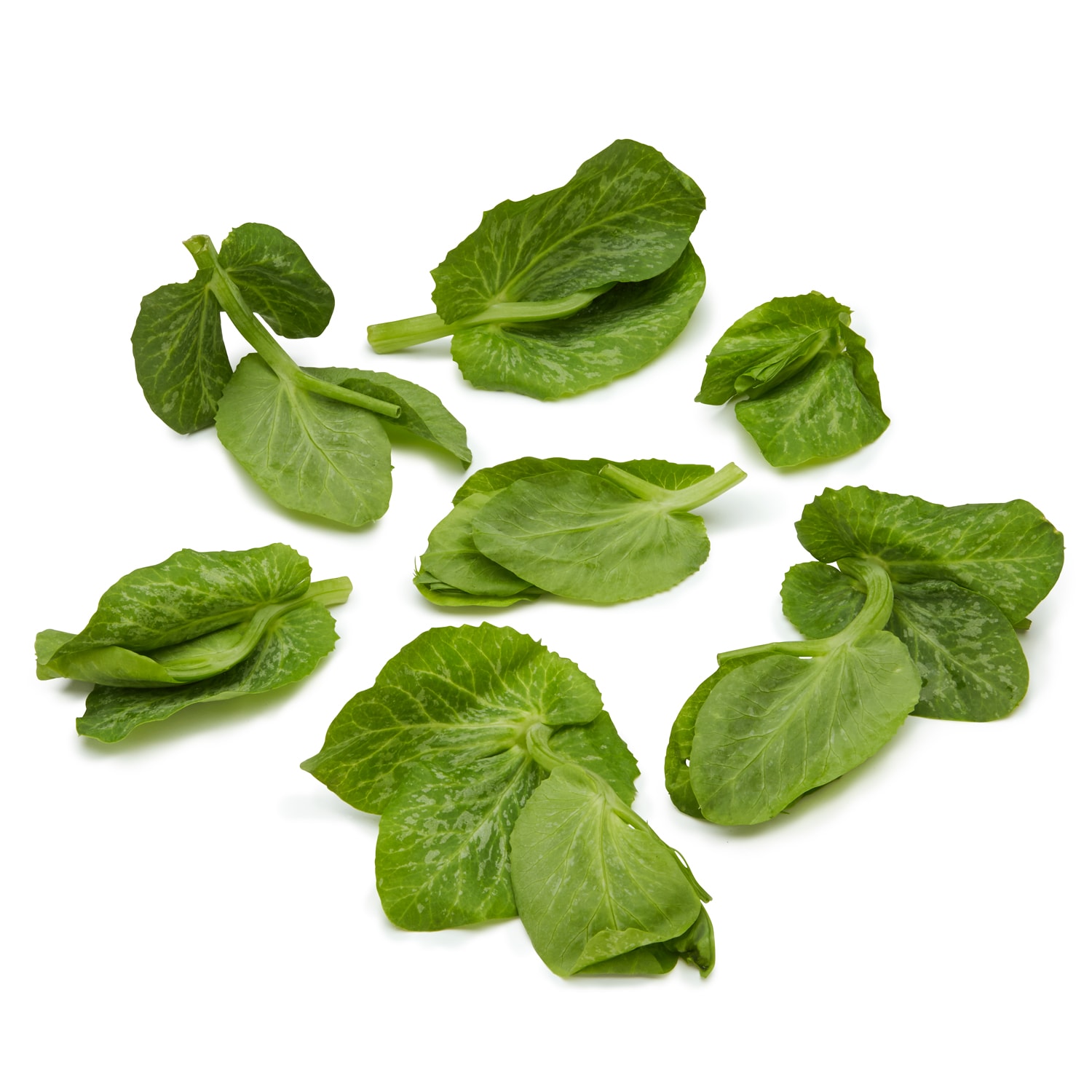 Snow Pea Tips