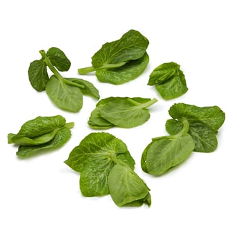 Snow Pea Tips