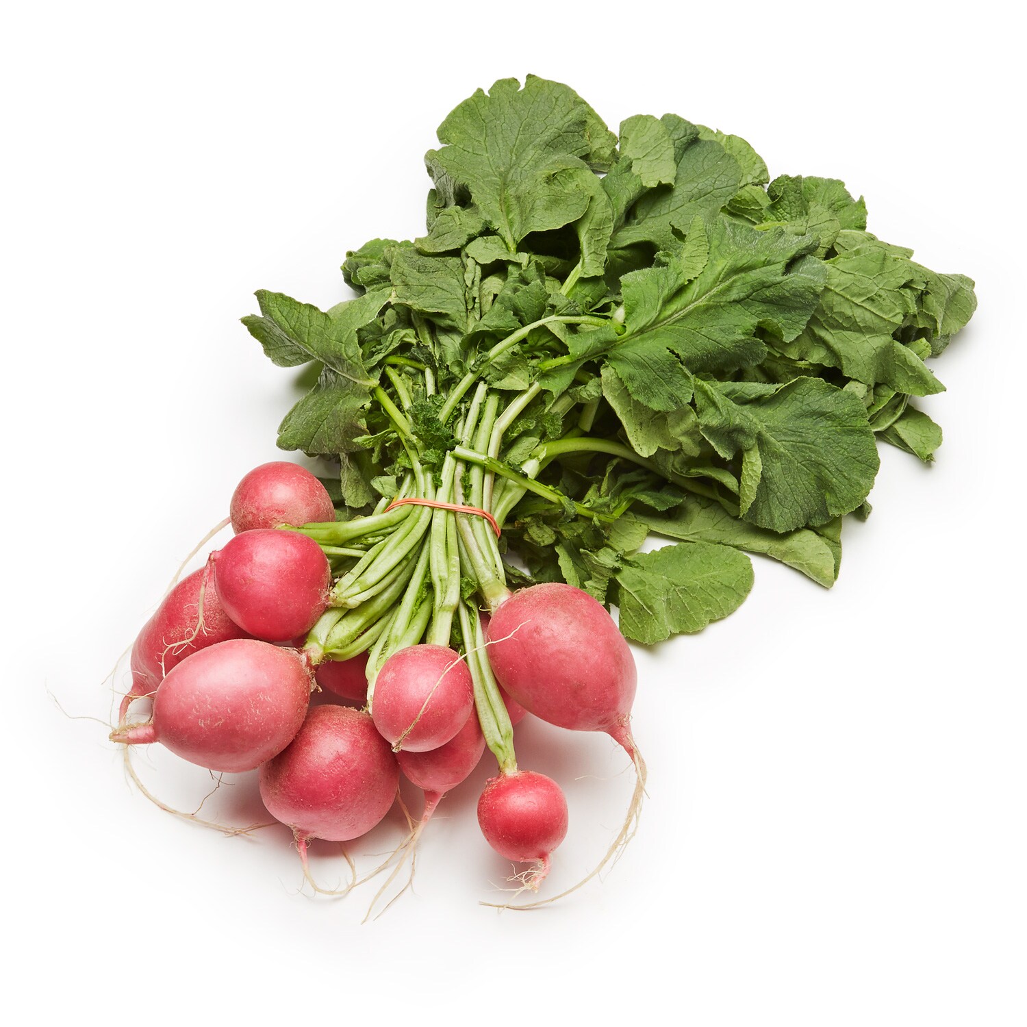 Black Dirt Region Local Pink Radish
