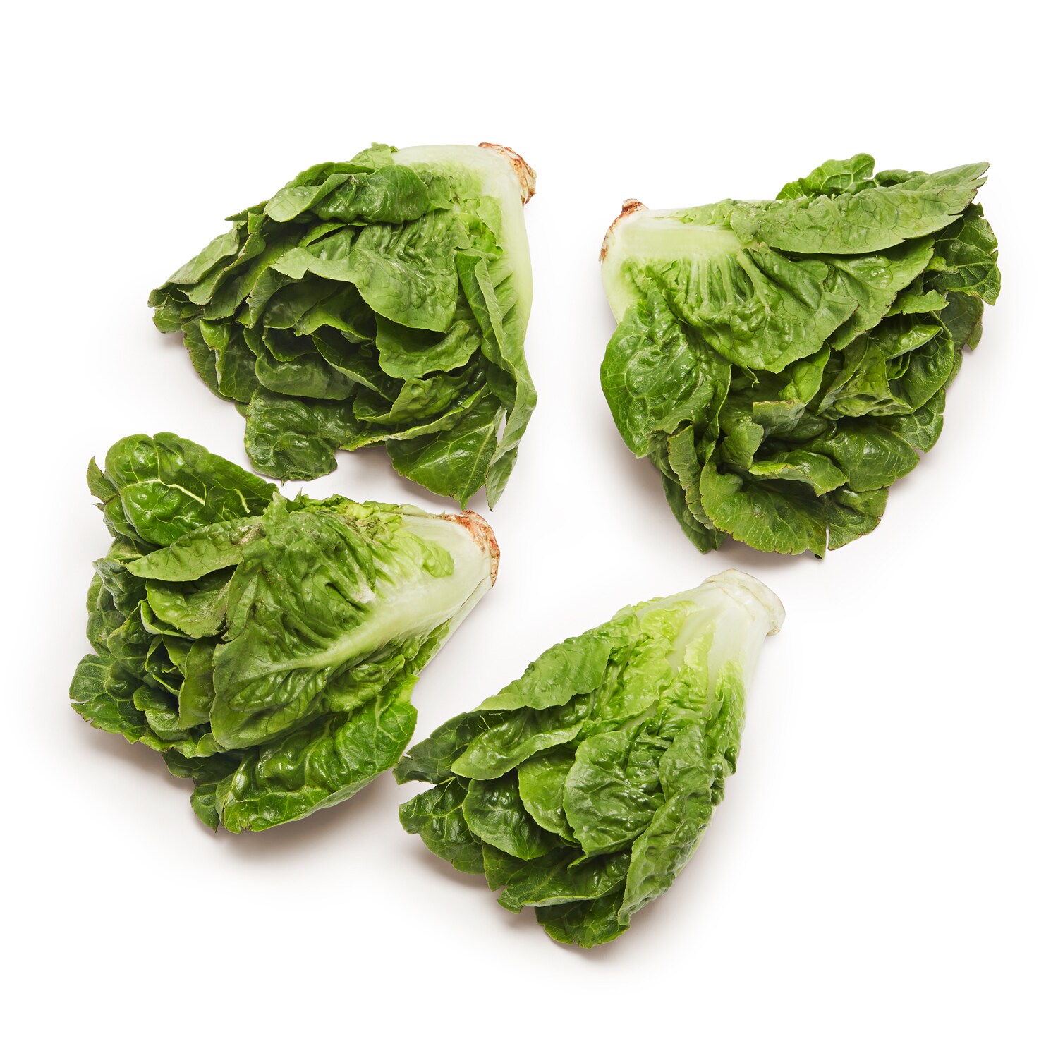 Little Gem Lettuce