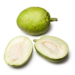 Breadfruit 