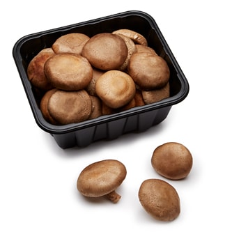 Mushroom King Organic Heirloom Baby Shiitake Mushrooms