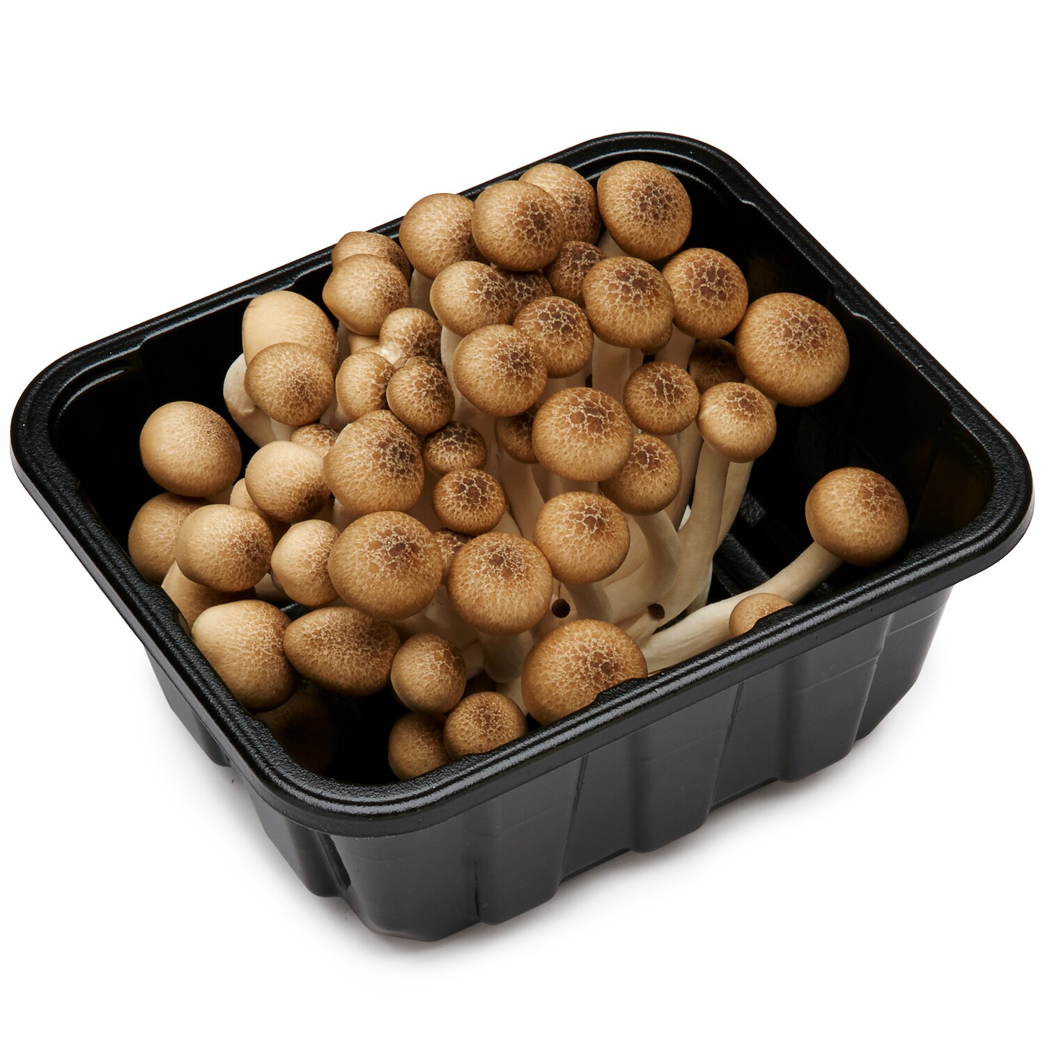 Mushroom King Organic Heirloom Brown Beech Mushrooms