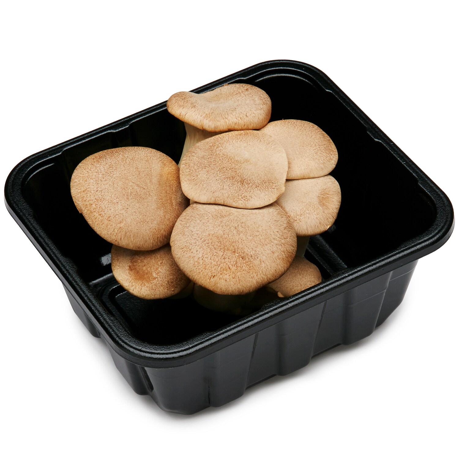 Mushroom King Organic Heirloom King Trumpet Mushrooms