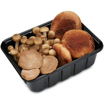 Mushroom King Organic Heirloom Asian Blend