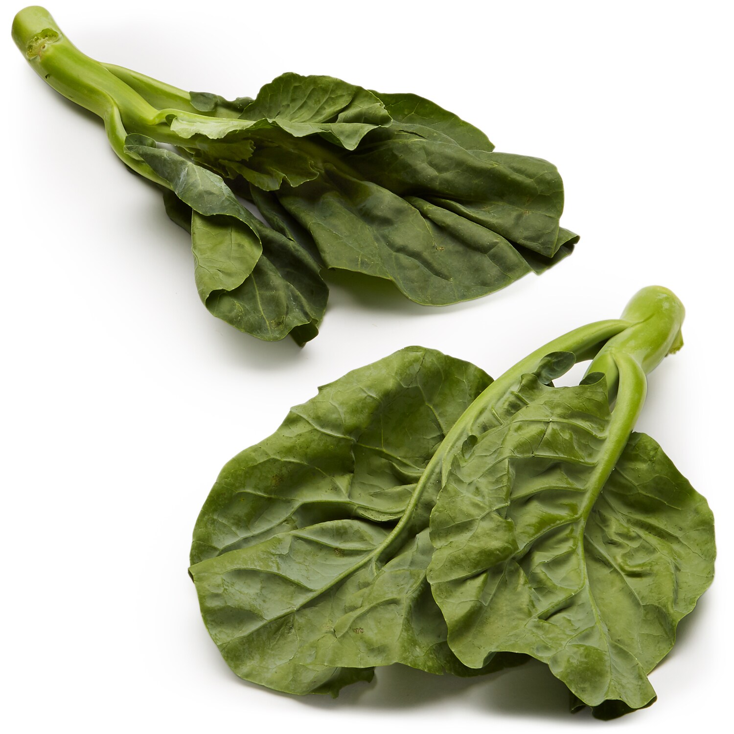 Gai Lan Chinese Broccoli, Bunch