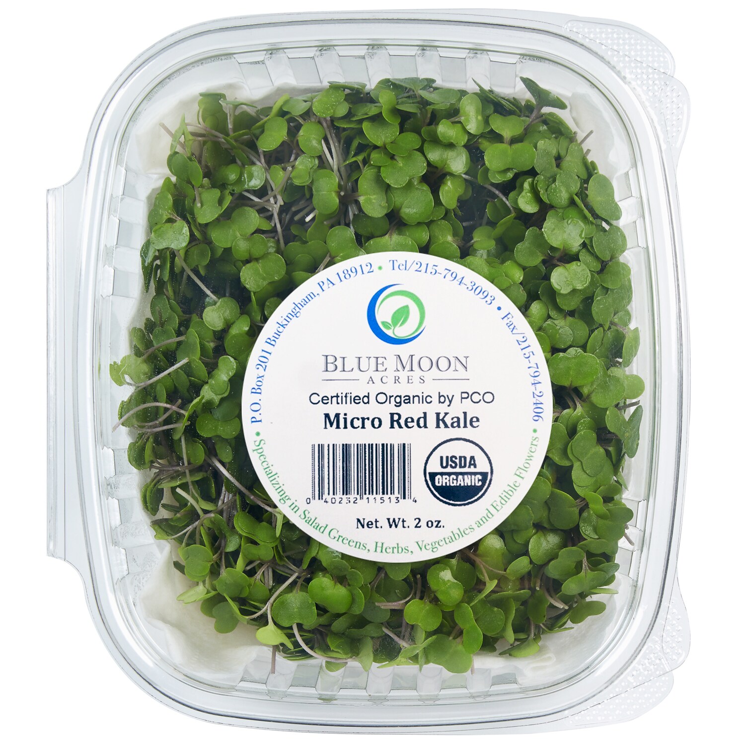Blue Moon Acres Organic Micro Red Kale