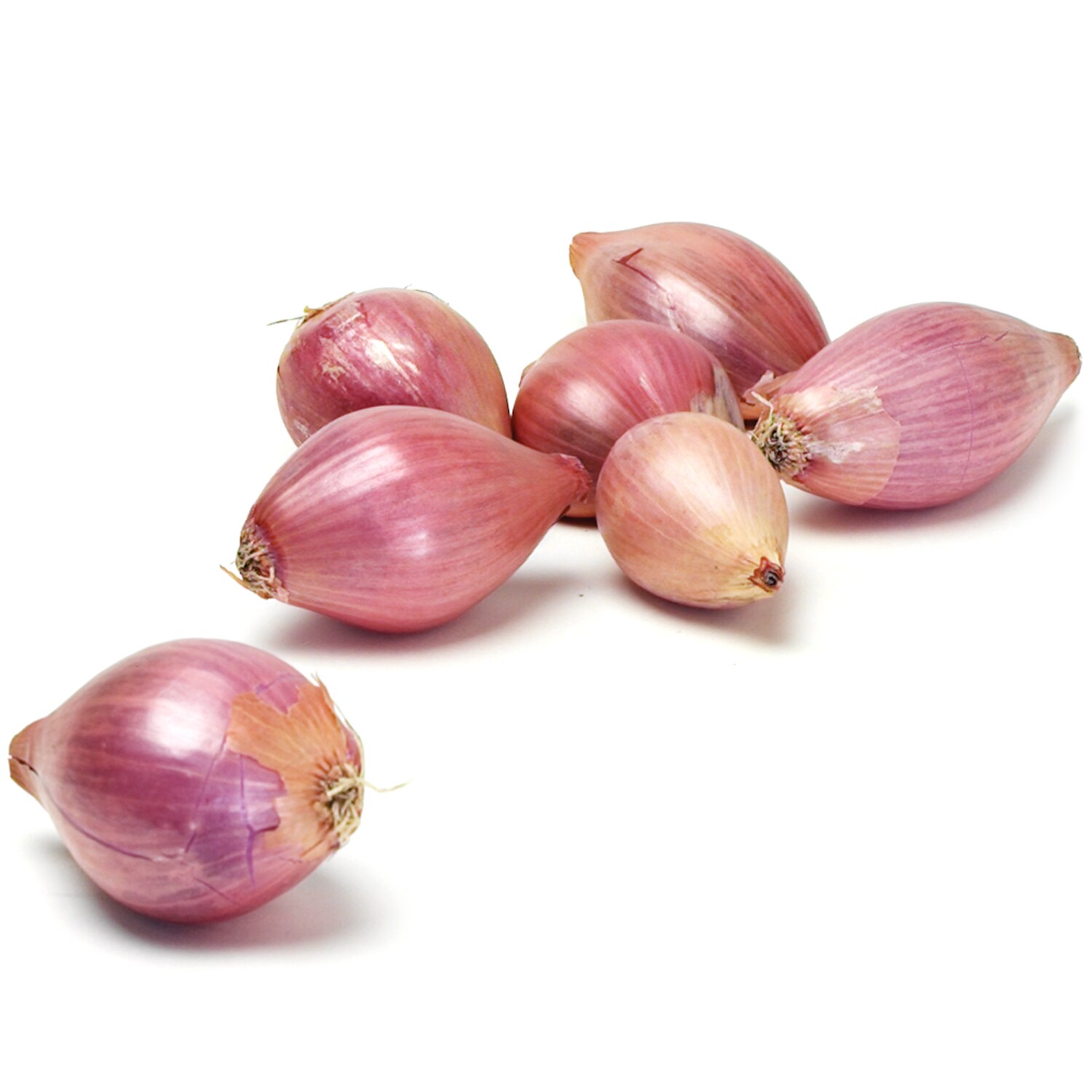Organic Shallots