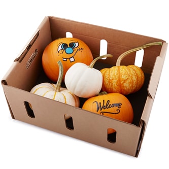 Bay Baby Farms Pumpkin Sampler