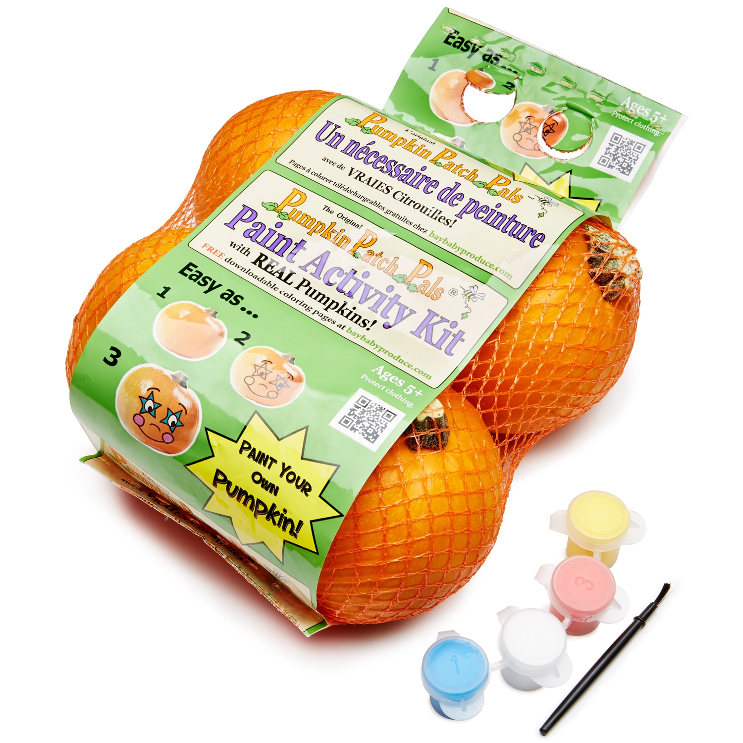 Bay Baby Farms Pumpkin Paint Kit