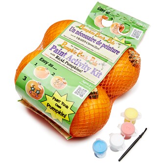 Bay Baby Farms Pumpkin Paint Kit