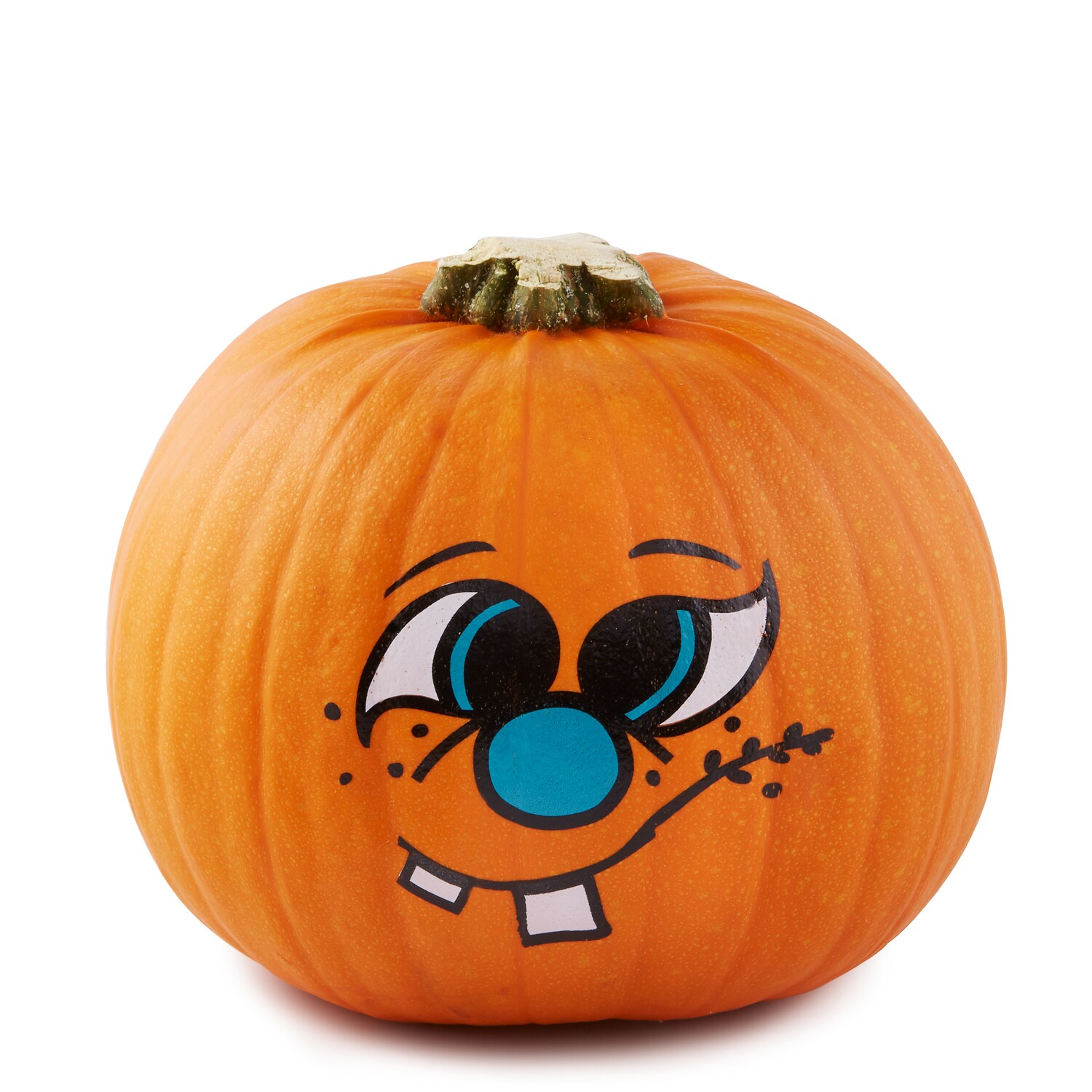 Bay Baby Farms Painted Pumpkin