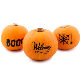 Bay Baby Farms Silhouette Pumpkin, Assorted Designs