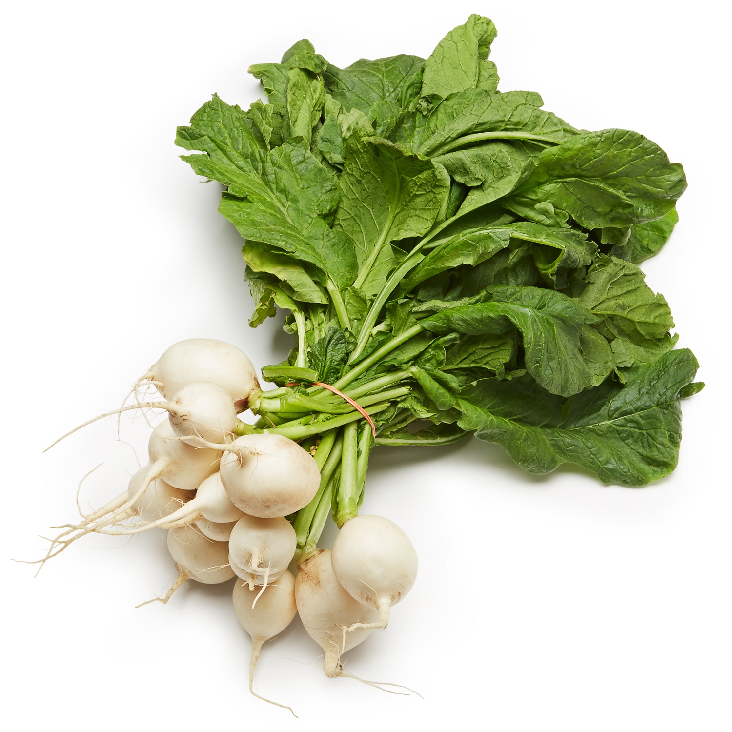 Lancaster Farm Fresh Cooperative Local Organic Hakurei Turnips