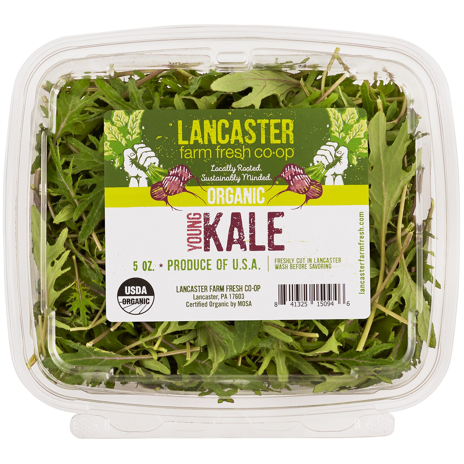 Lancaster Farm Fresh Cooperative Local Organic Young Kale