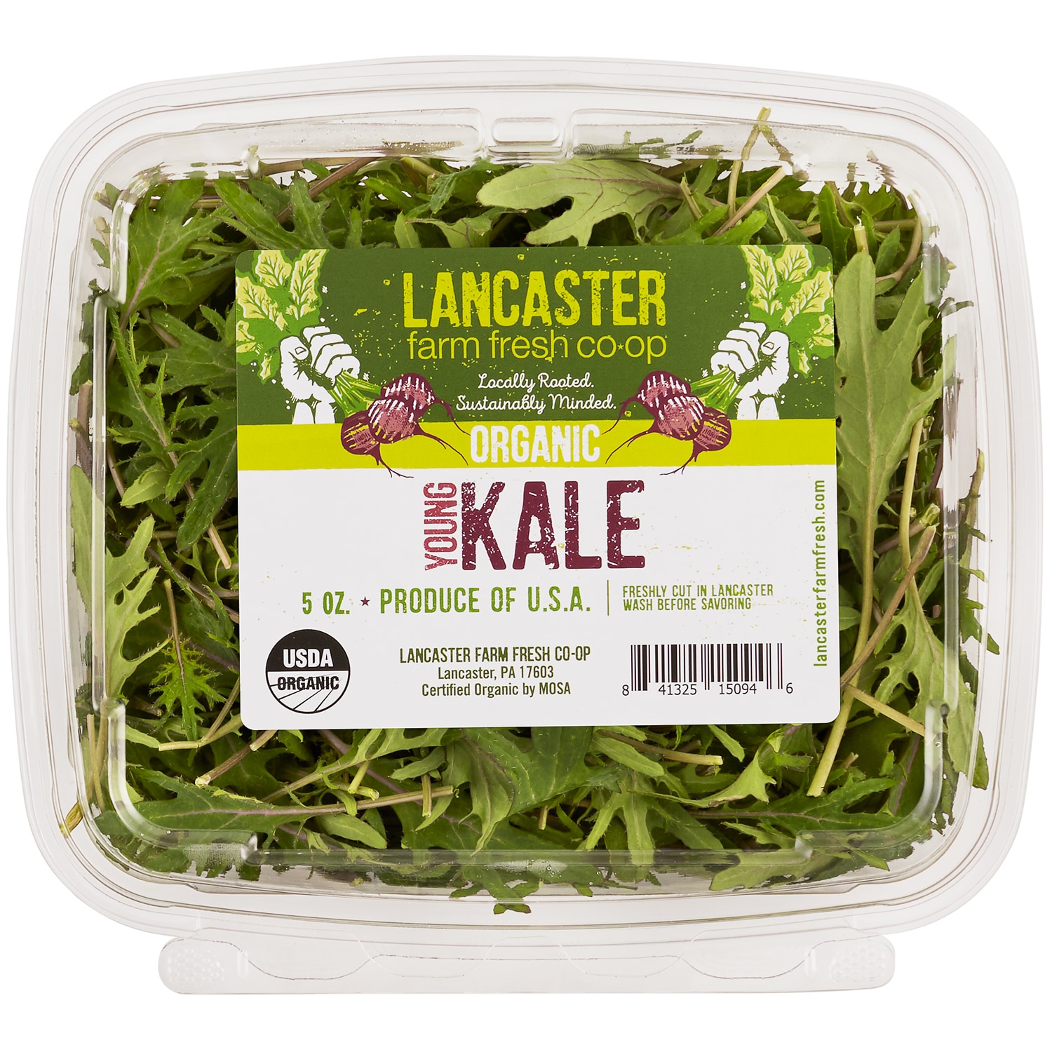 Lancaster Farm Fresh Cooperative Local Organic Young Kale