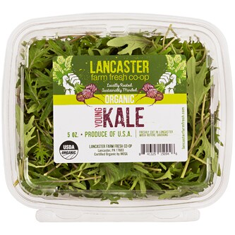 Lancaster Farm Fresh Cooperative Local Organic Young Kale
