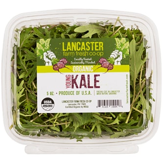 Lancaster Farm Fresh Cooperative Local Organic Young Kale
