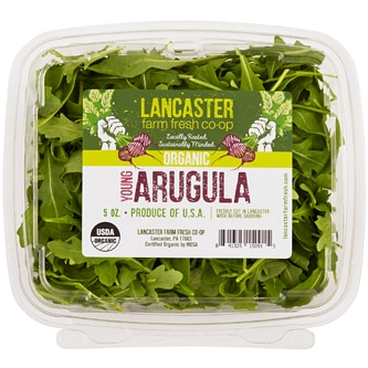 Lancaster Farm Fresh Cooperative Local Organic Young Arugula