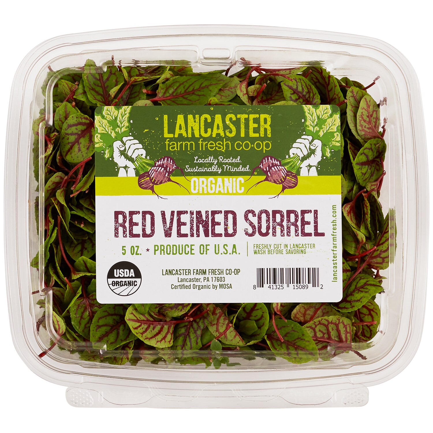 Lancaster Farm Fresh Cooperative Local Organic Red Veined Sorrel