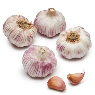 Garlic