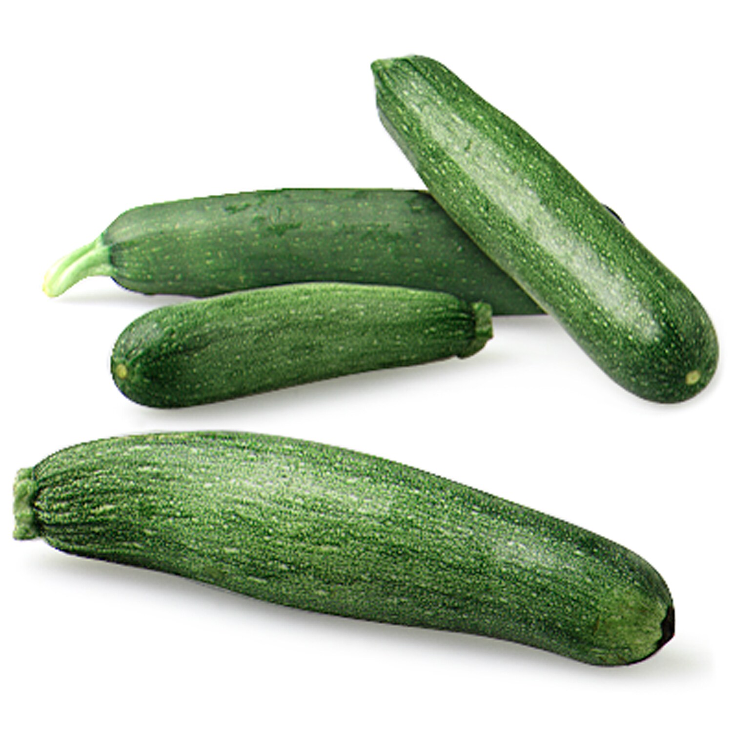 Lancaster Farm Fresh Cooperative Local Organic Green Zucchini