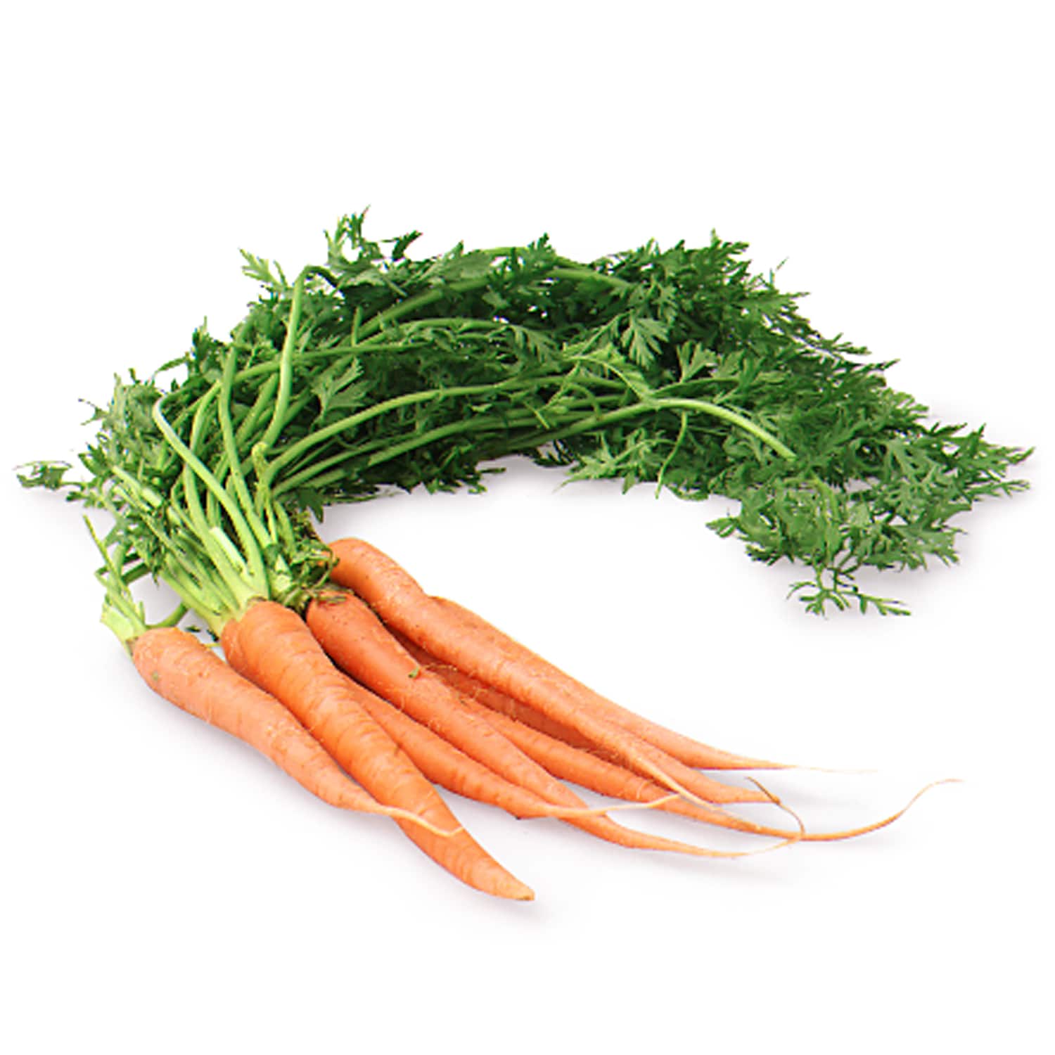 Deer Run Farms Bunched Carrots