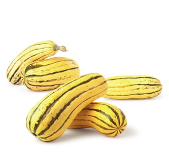 Long Island Delicata Squash