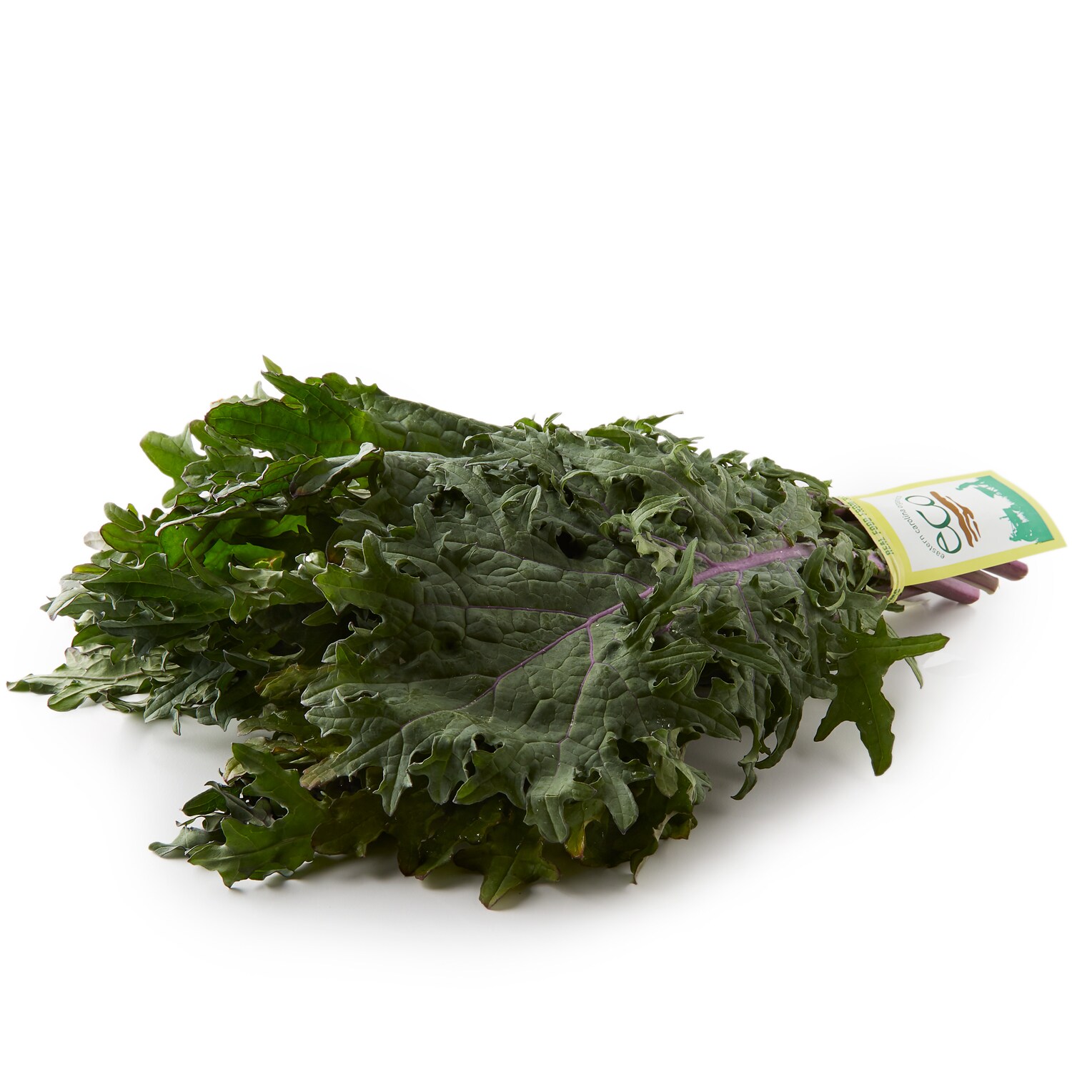 Organic Red Russian Kale