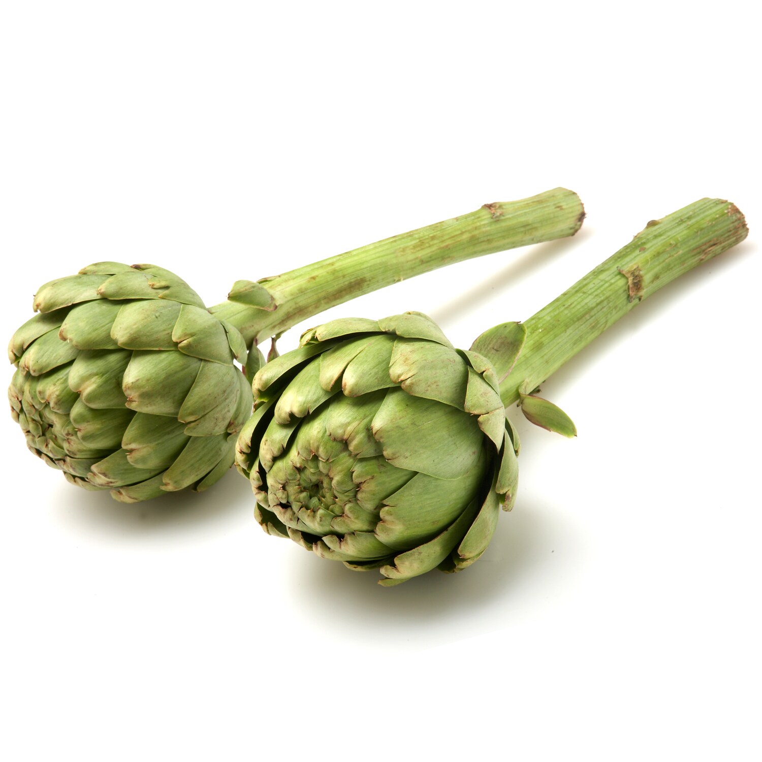 Ocean Mist Farms Long-Stem Artichoke