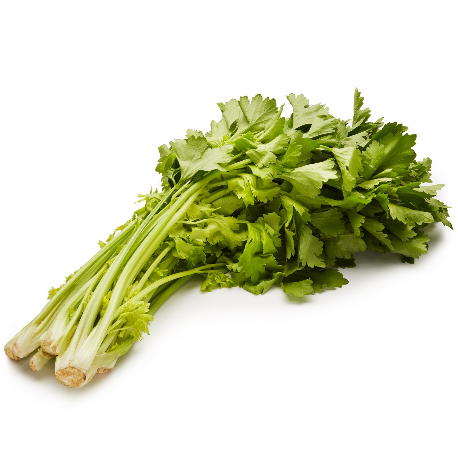 Chinese Celery