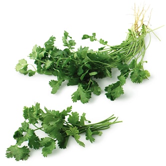 Deer Run Farms Cilantro