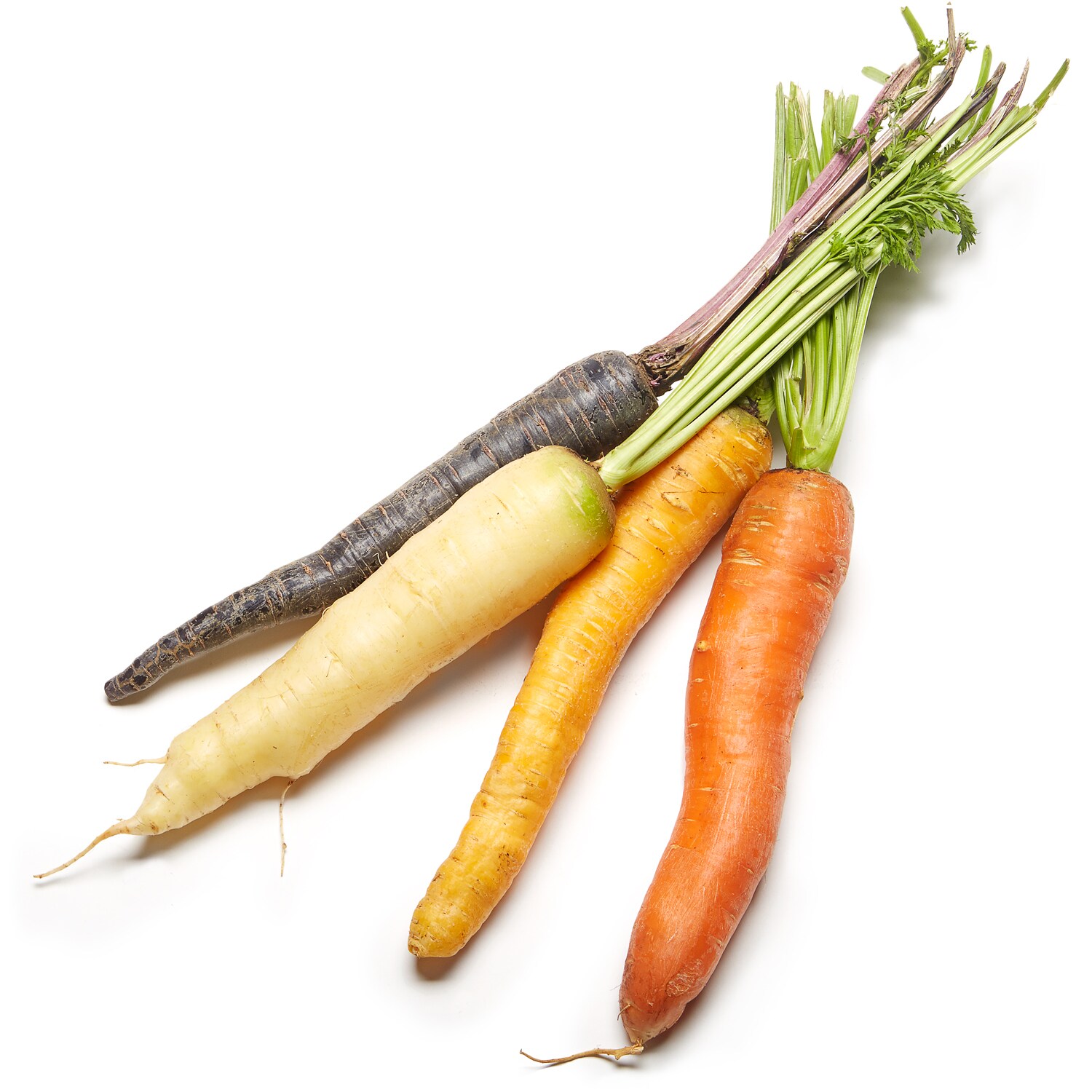 Deer Run Farms Rainbow Carrots
