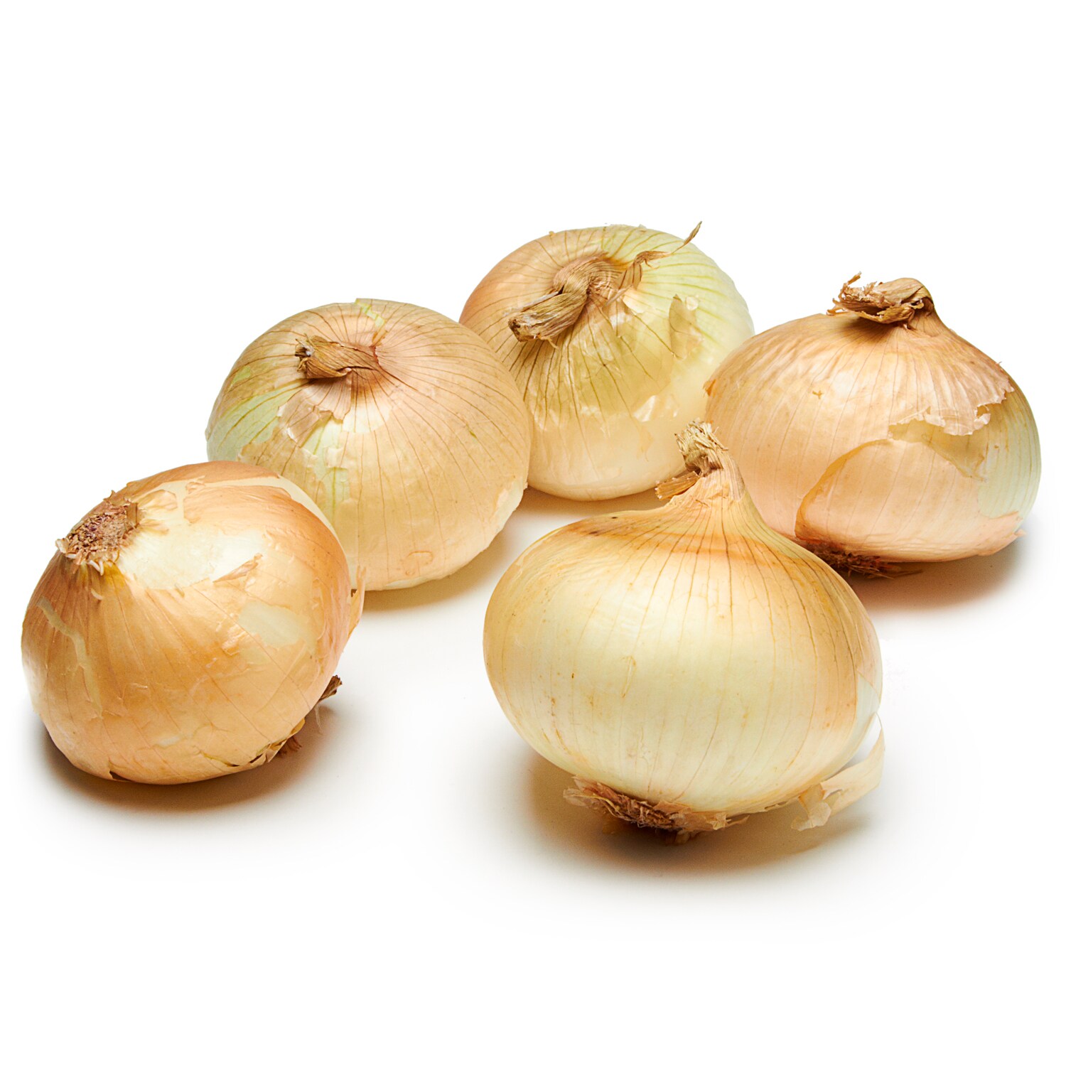 Organic Vidalia Onion