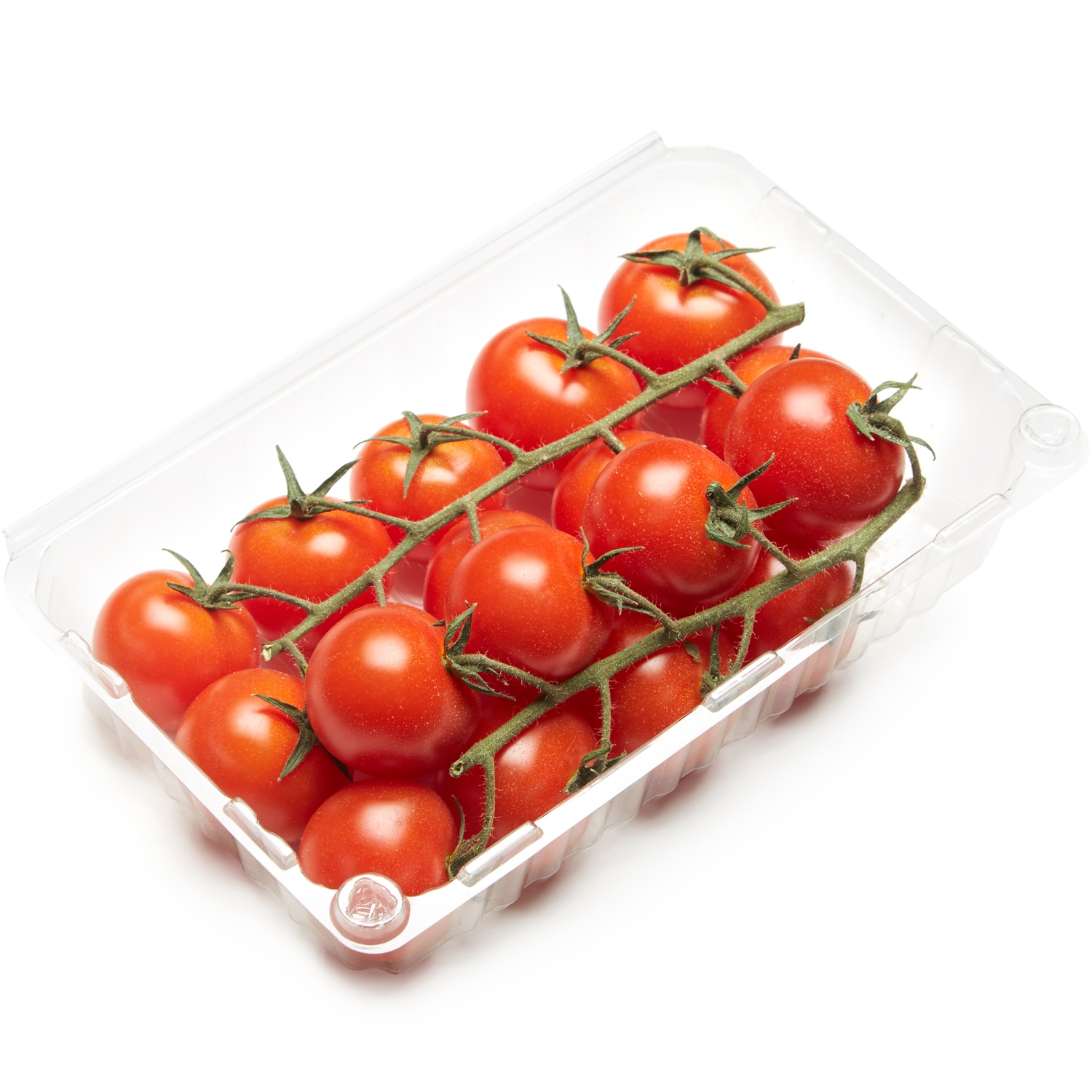 Hepworth Farms Organic Cherry Tomatoes on the Vine
