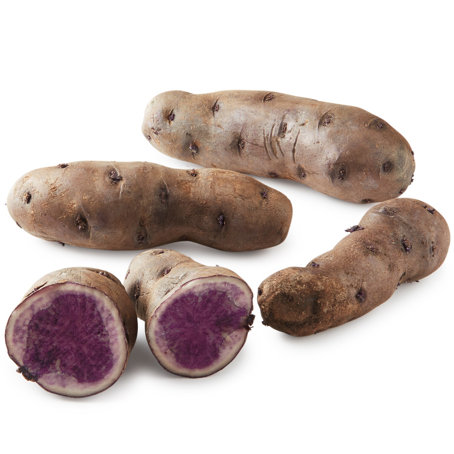 Grown in the Hudson Valley Adirondack Blue Potato