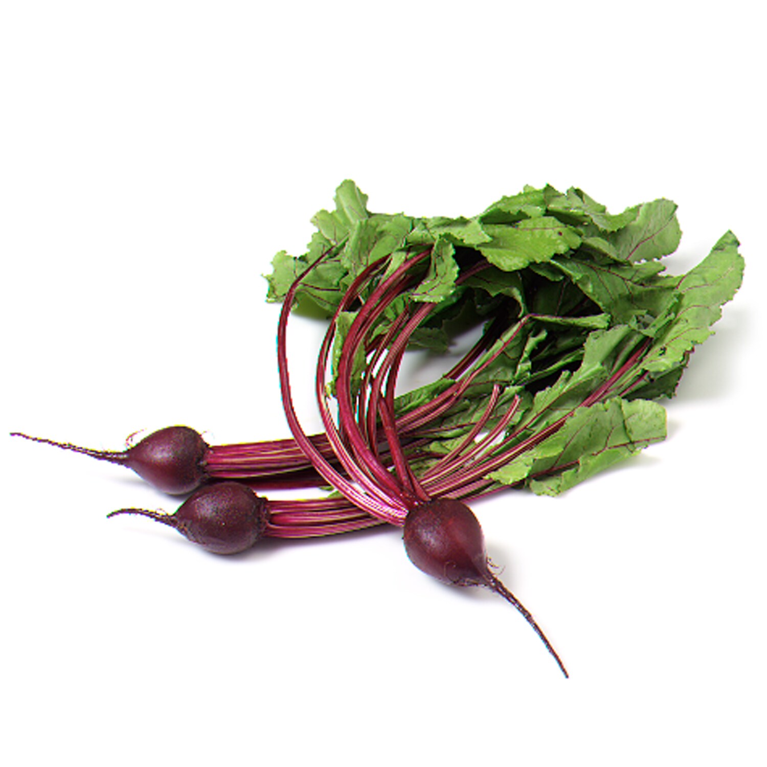 Grown in Pennsylvania Transitional Beets, Bunch