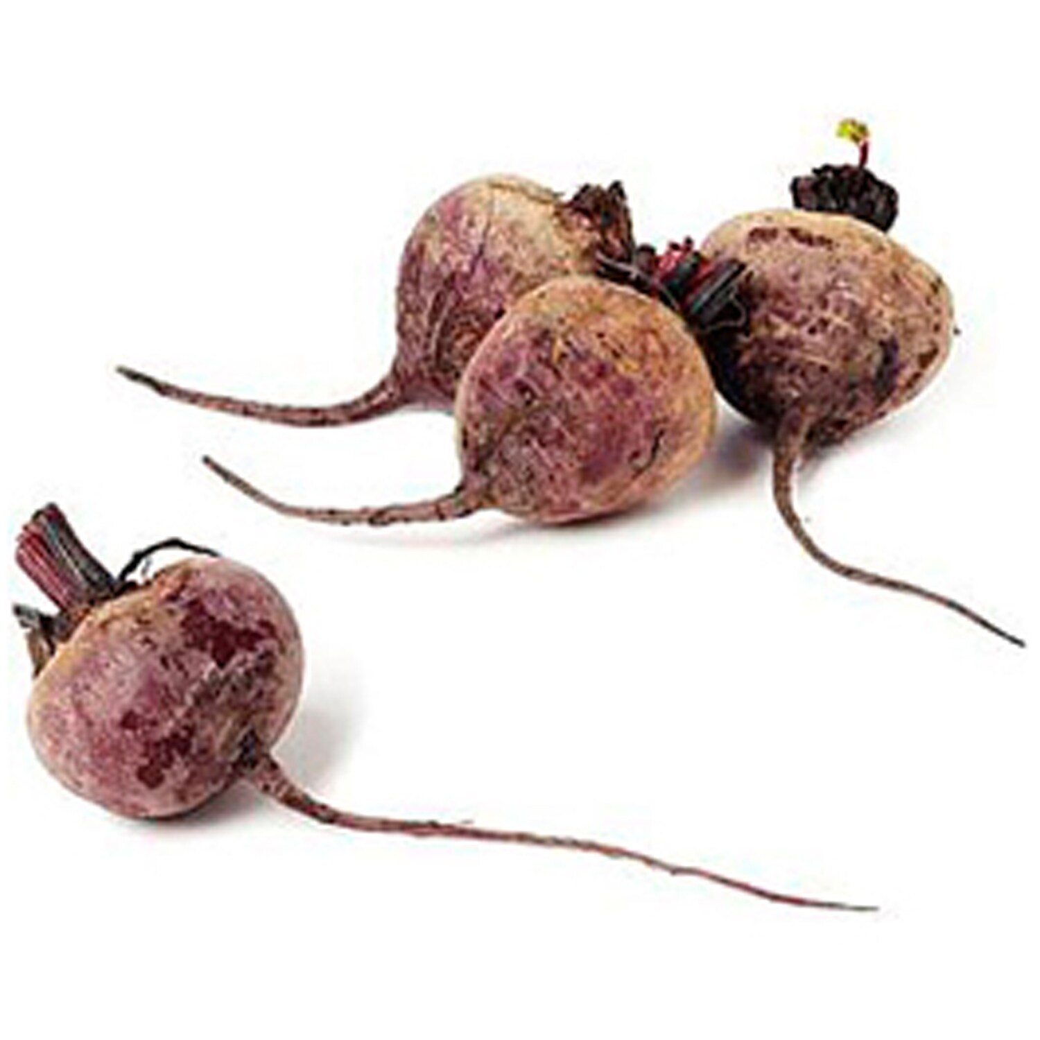 Grown in Pennsylvania Transitional Loose Beets