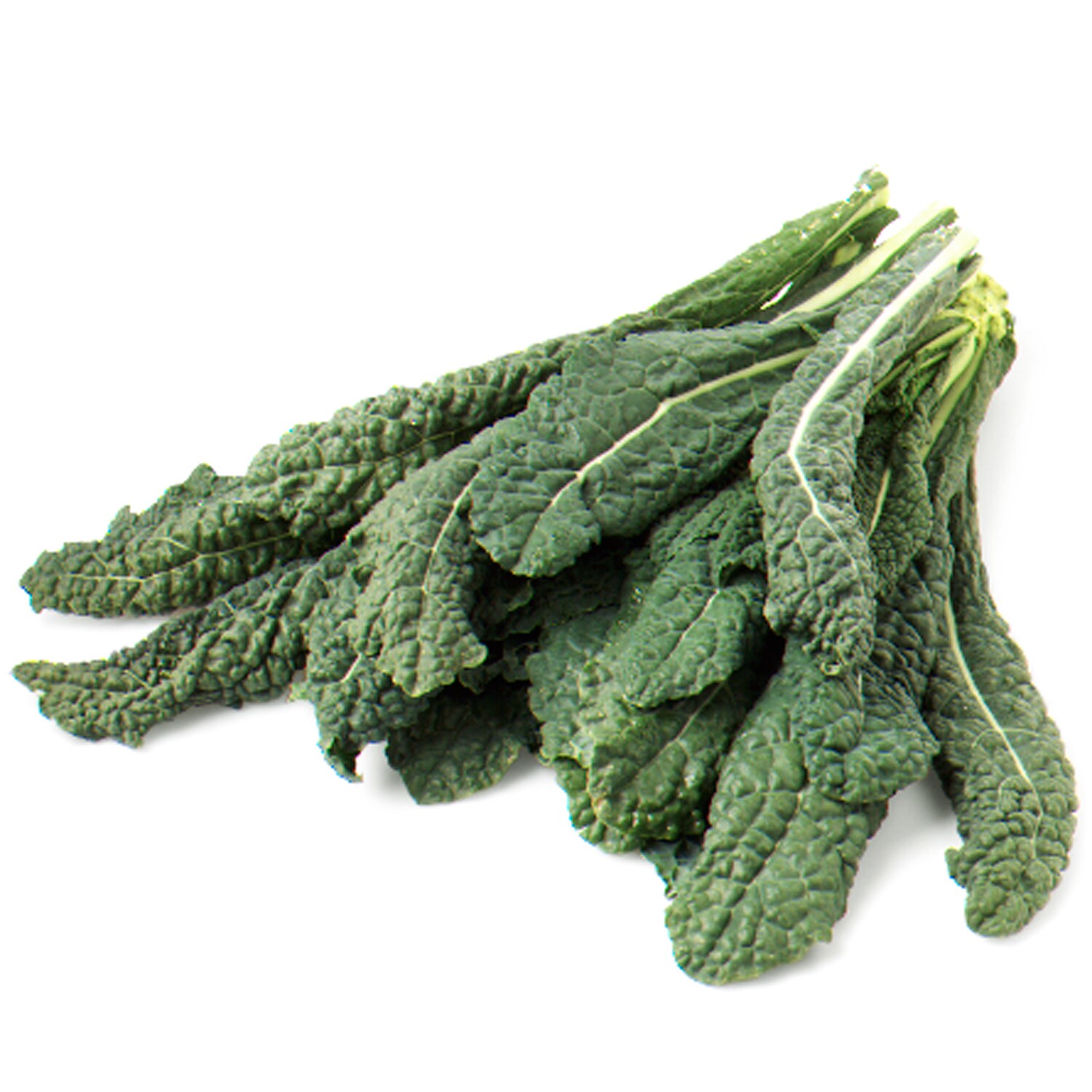Grown in Pennsylvania Transitional Lacinato Kale