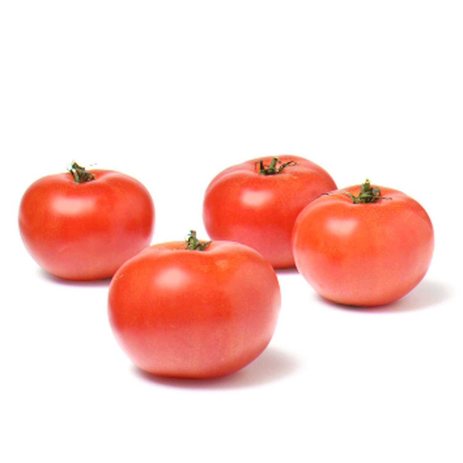 Grown in Pennsylvania Transitional Beefsteak Tomatoes