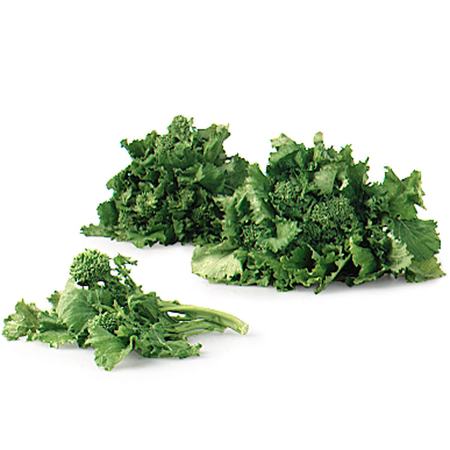 Local Organic Broccoli Rabe