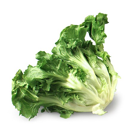 Hepworth Farms Local Organic Escarole