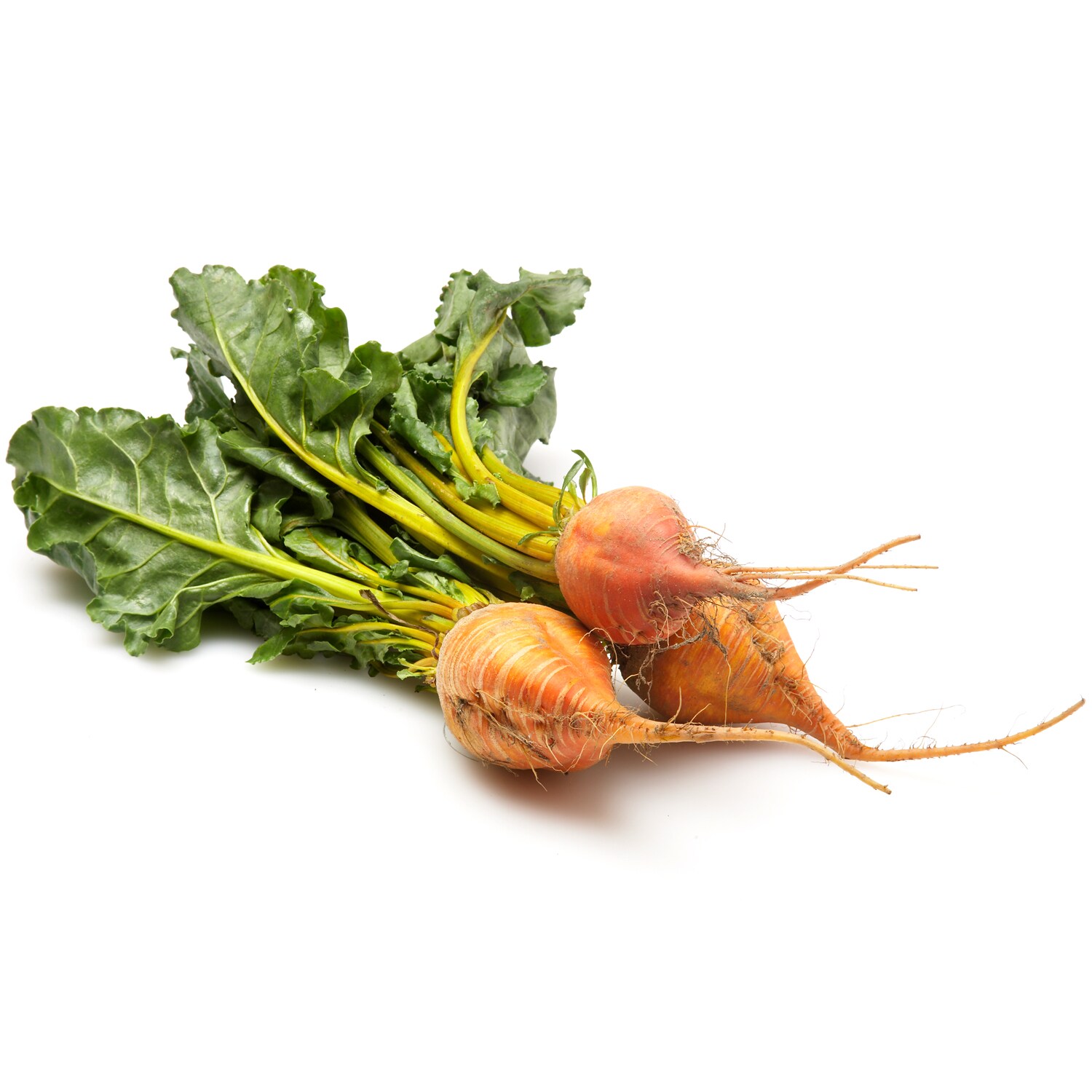 Hepworth Farms Local Organic Golden Beets, Bunch