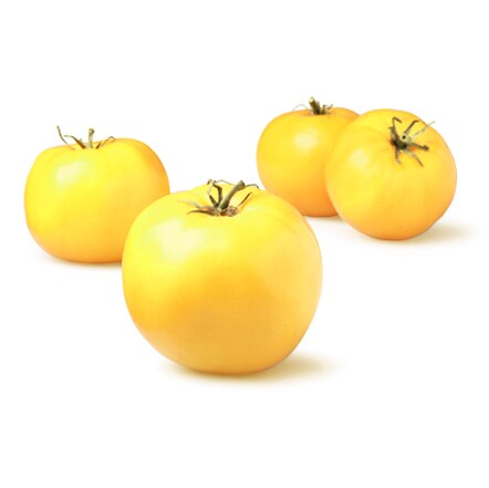 Yellow Beefsteak Tomatoes
