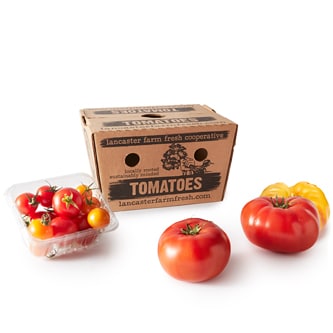 Lancaster Farm Fresh Cooperative Local Organic Tomato Farm Share