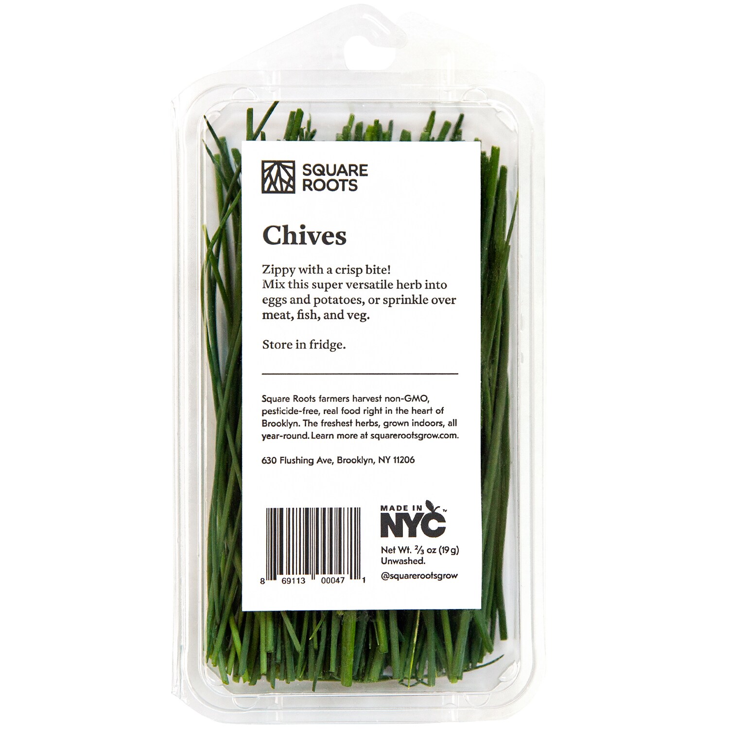 Square Roots Chives
