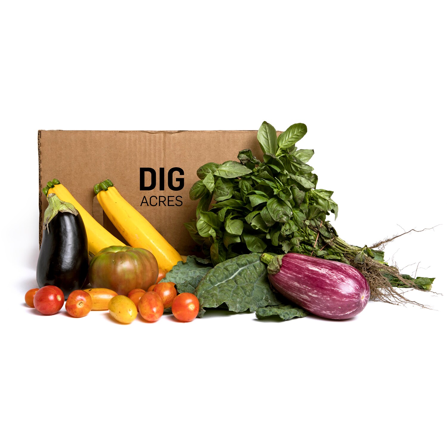 Dig Acres Local Organic Farm Box 