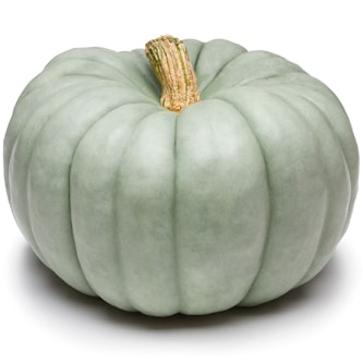Blue Doll Pumpkin